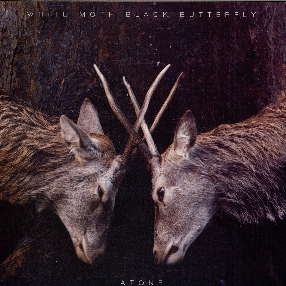 White Moth Black Butterfly - Atone