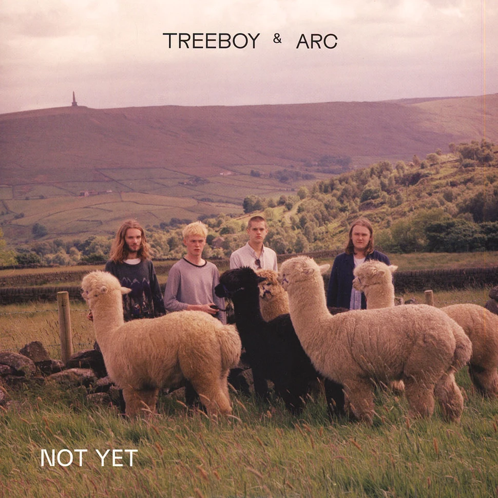 Treeboy & Arc - Not Yet / Merge