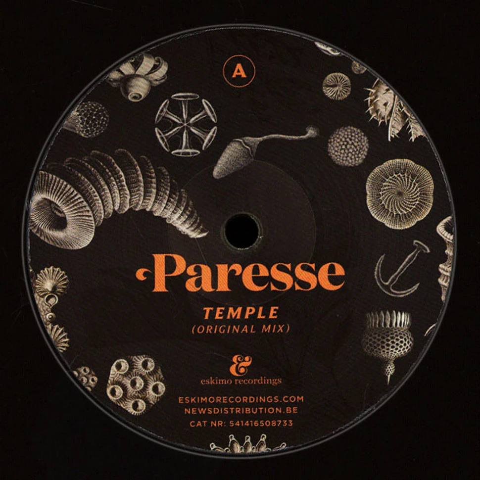 Paresse - Temple Simple Symmetry Remix