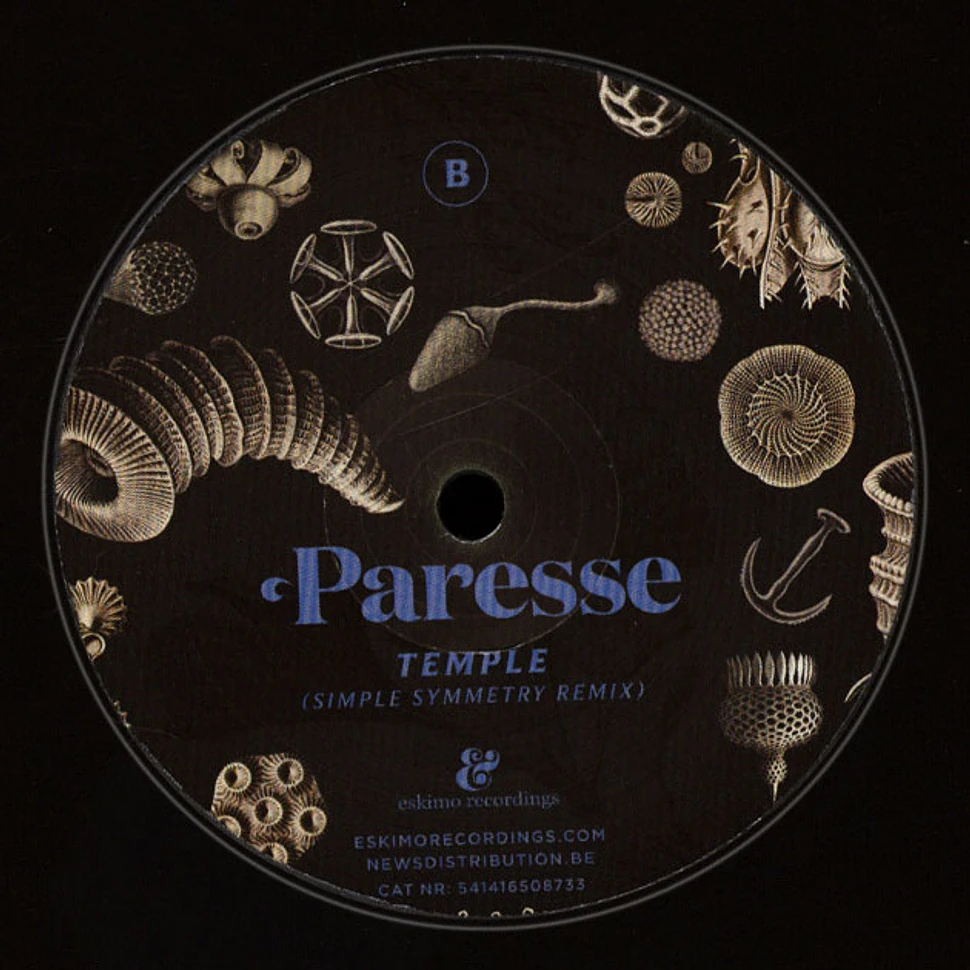 Paresse - Temple Simple Symmetry Remix