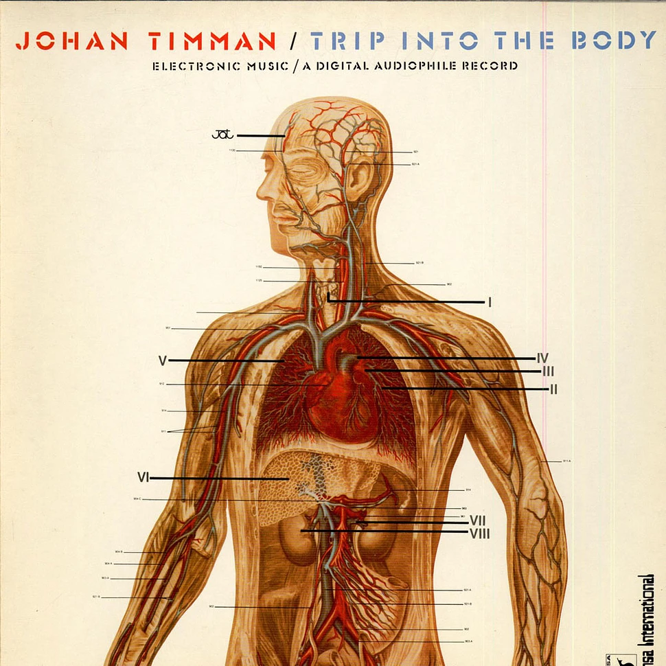 Johan Timman - Trip Into The Body