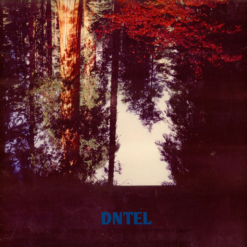 Dntel - Aimlessness