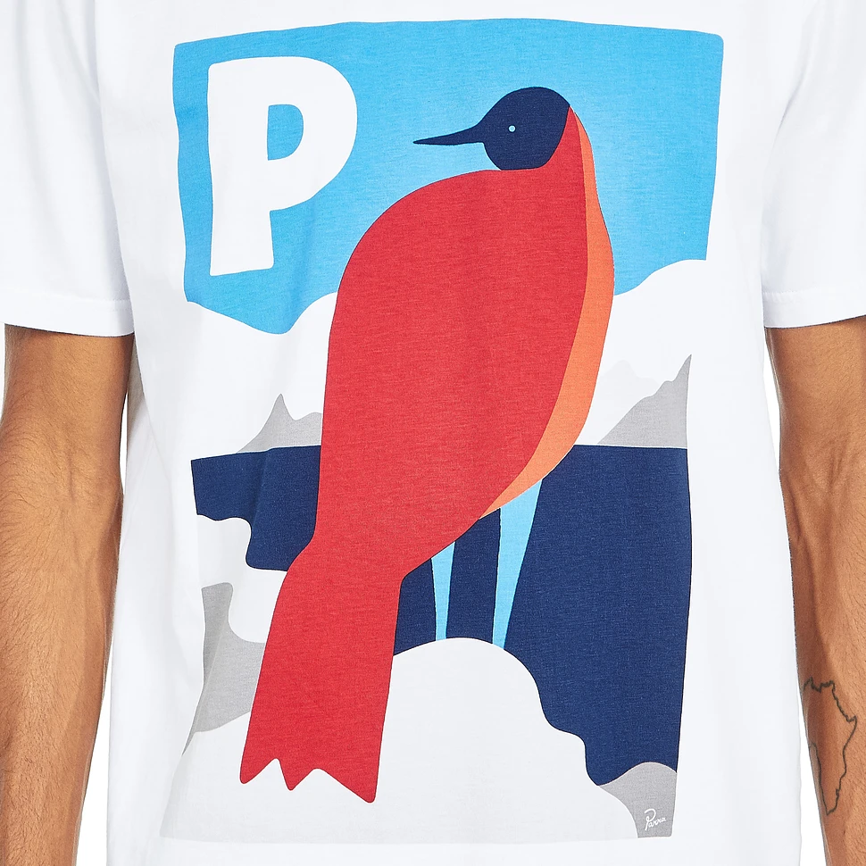 Parra - Seahawk In Antarctica T-Shirt