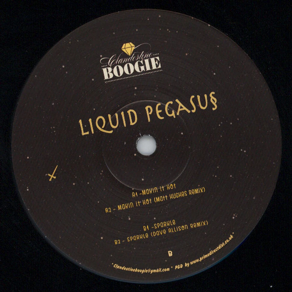 Liquid Pegasus - Makin It Hot