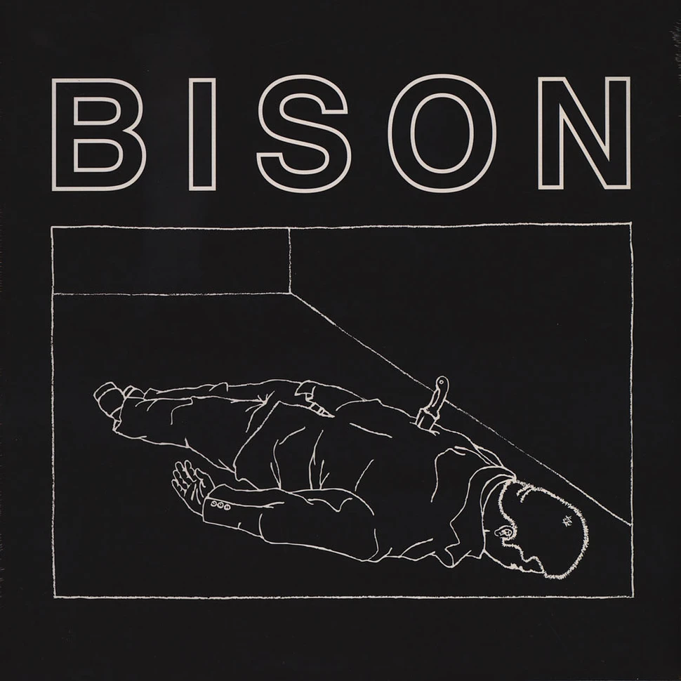 Bison - One Thousand Needles