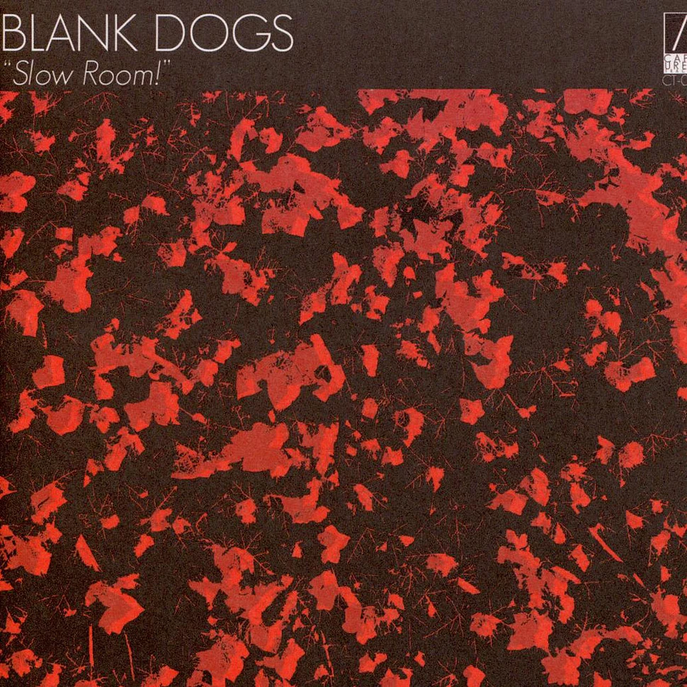 Blank Dogs - Slow Room!