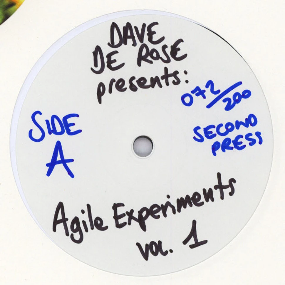 V.A. - Agile Experiments Volume 1