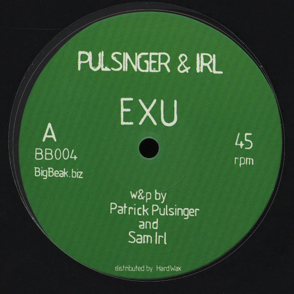Pulsinger & Irl - Exu