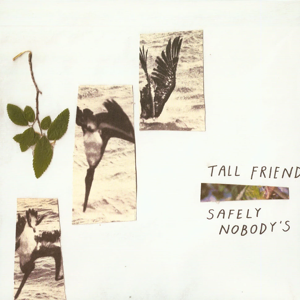 Tall Friend - Safely Nobody's