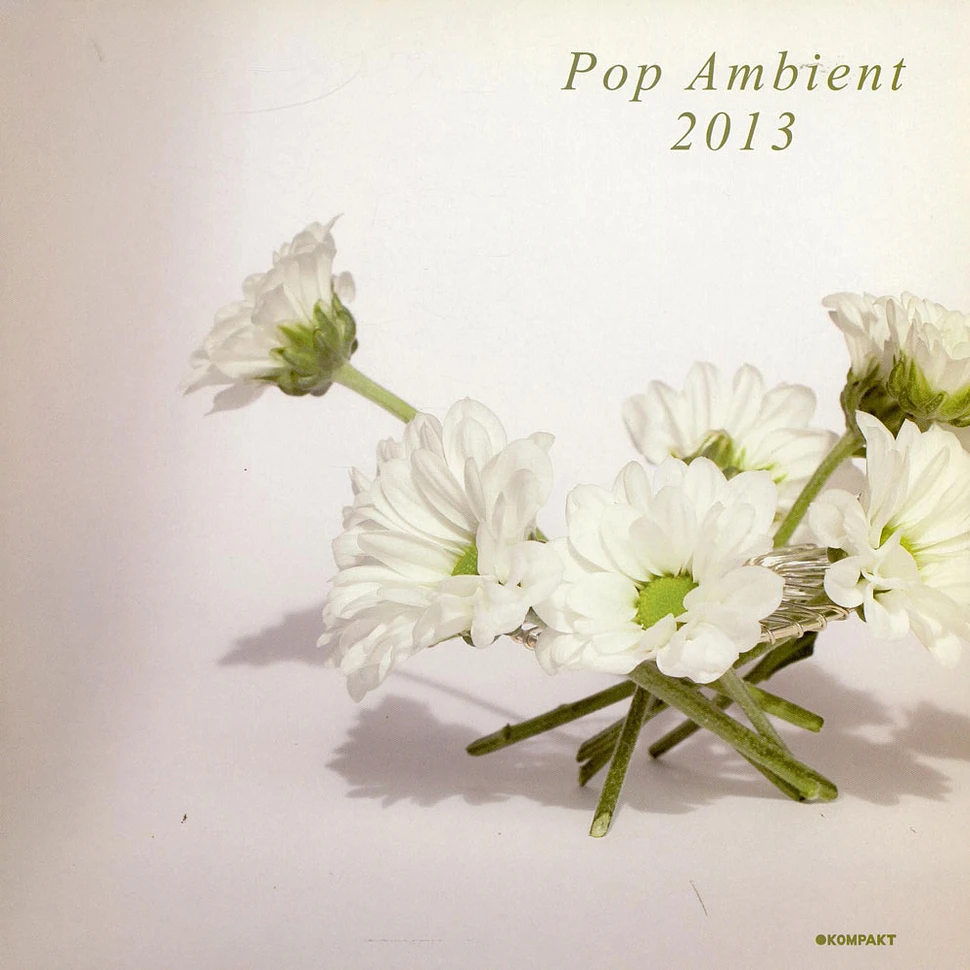 V.A. - Pop Ambient 2013