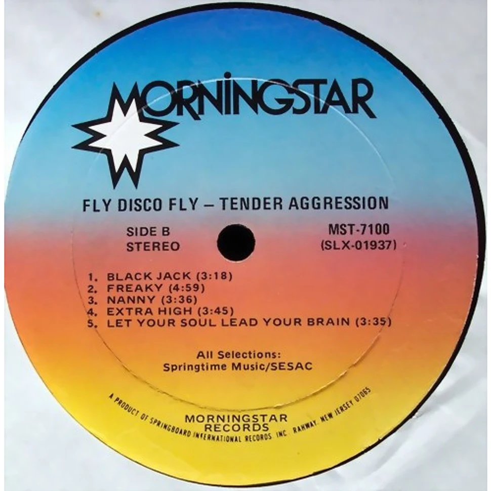 Tender Aggression - Fly Disco Fly