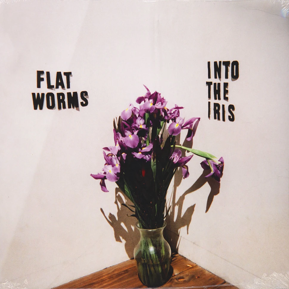 Flat Worms - Into The Iris