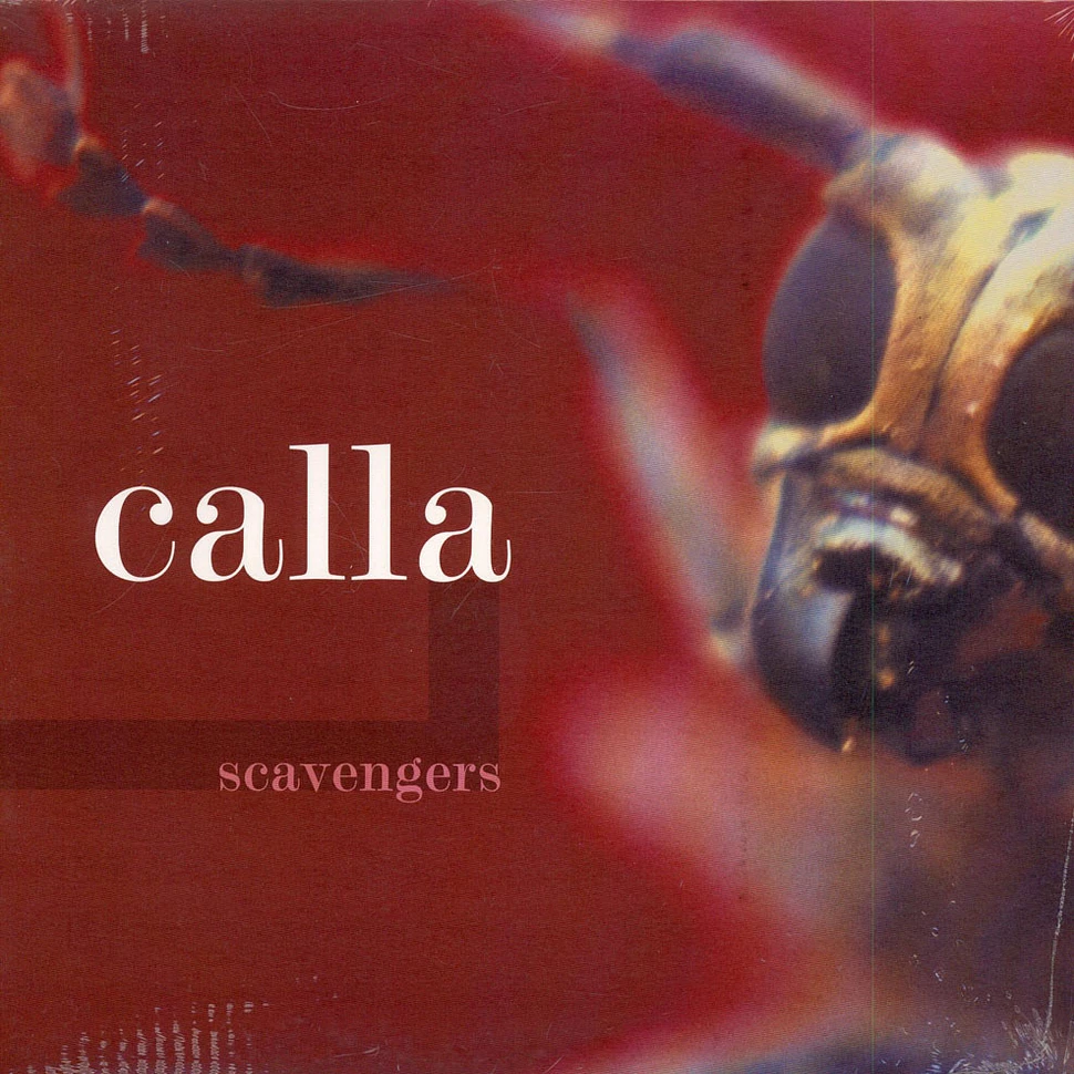 Calla - Scavengers