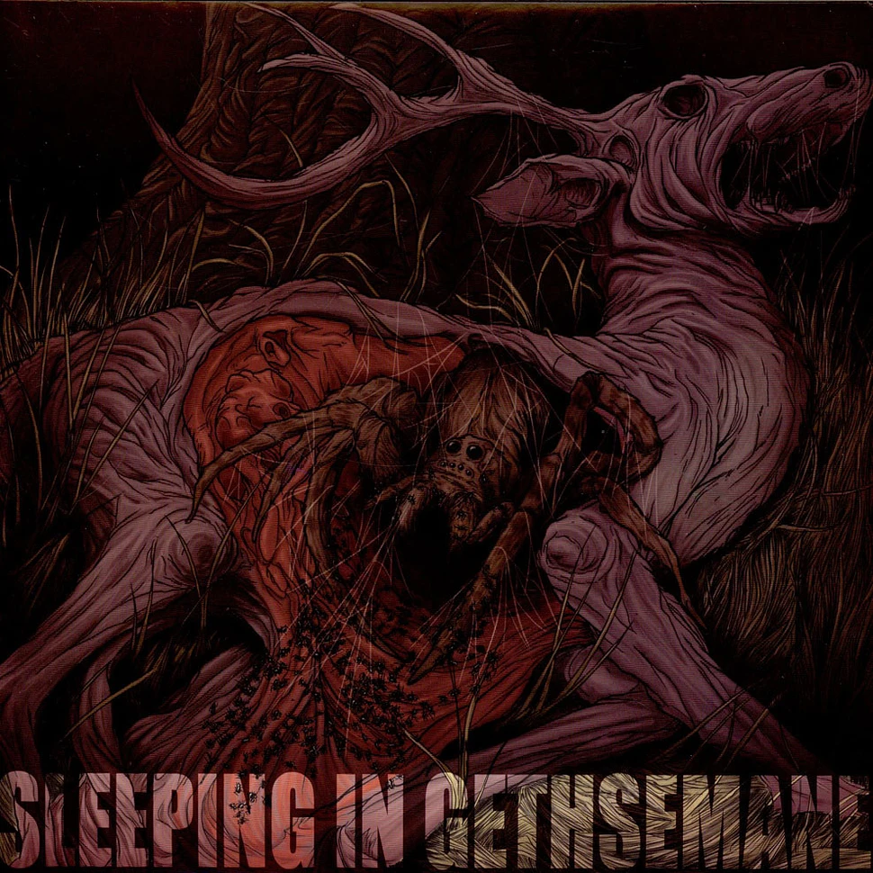 Sleeping In Gethsemane - Burrows