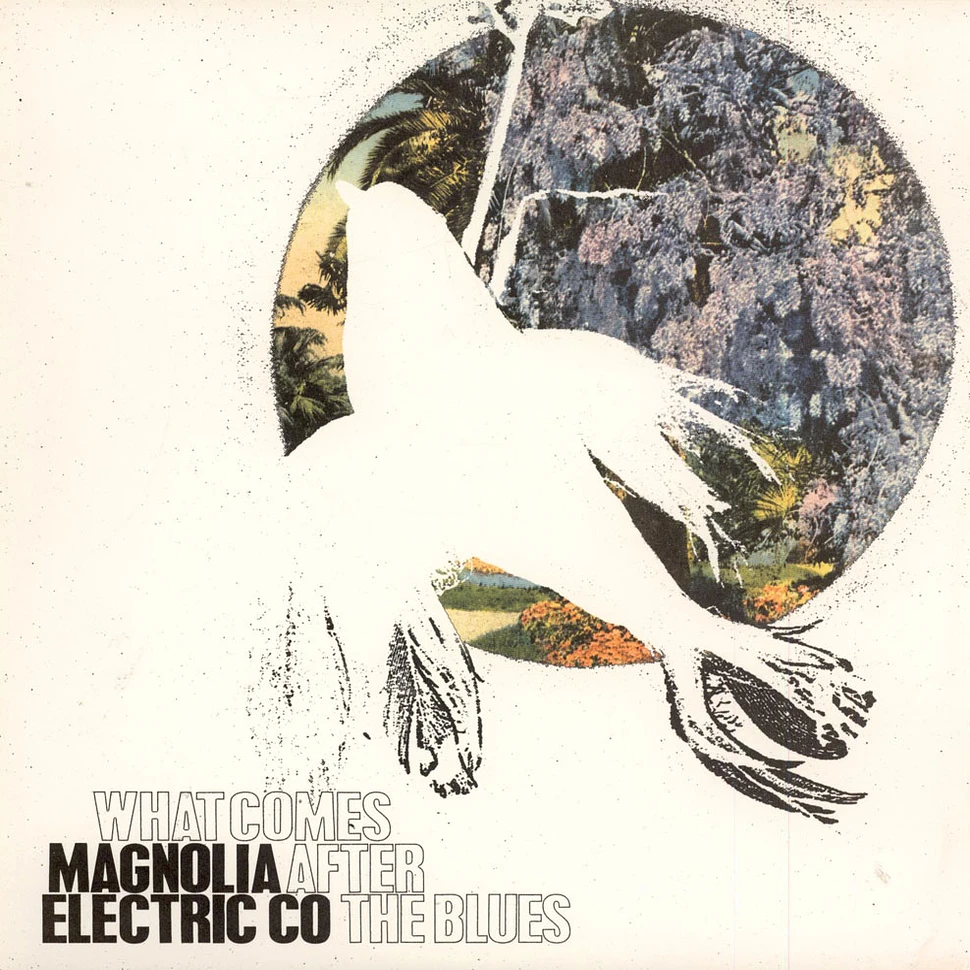 Magnolia Electric Co. - What Comes After The Blues