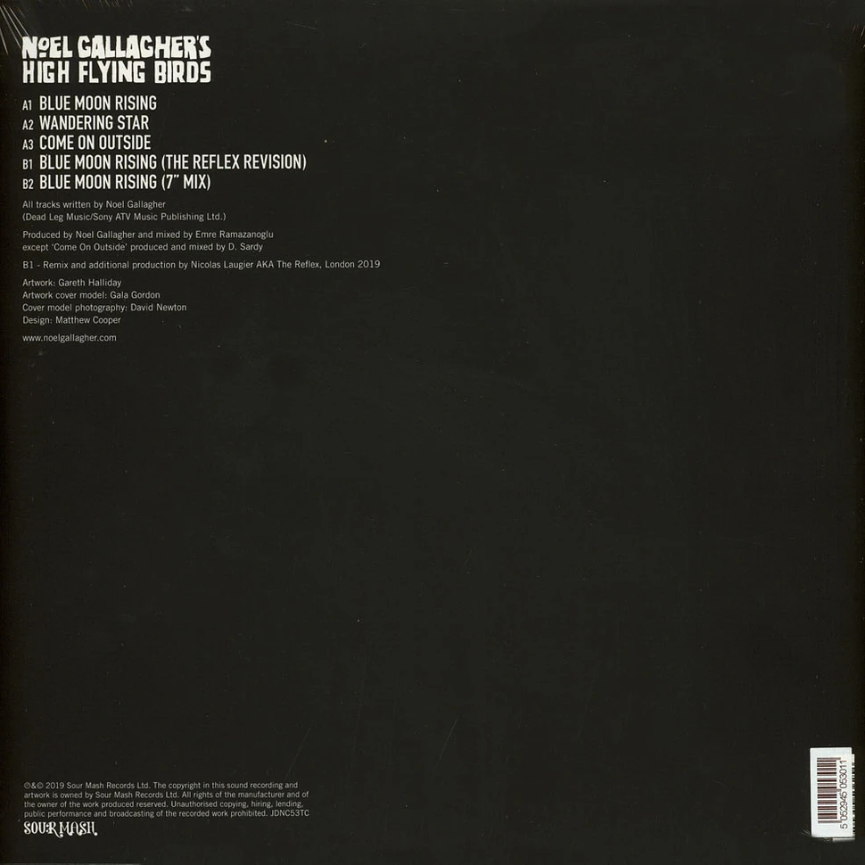 Noel Gallagher's High Flying Birds - Blue Moon Rising