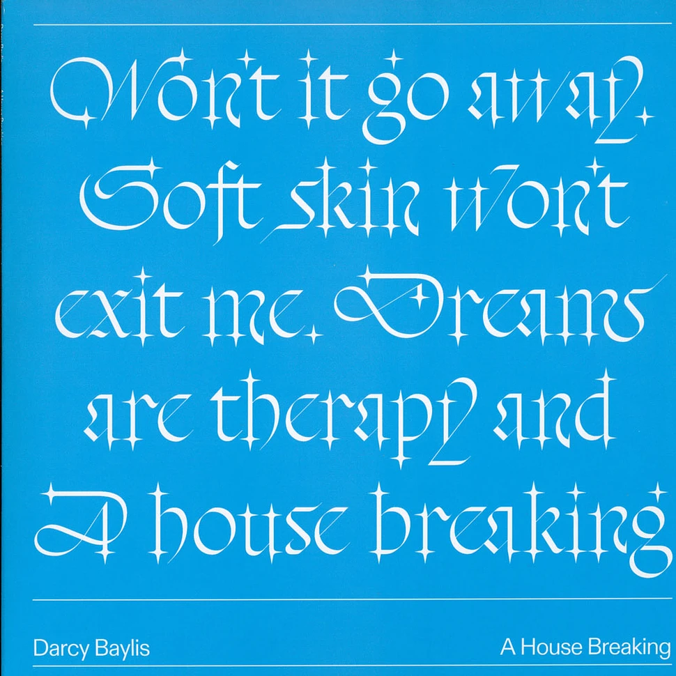 Darcy Baylis - A House Breaking