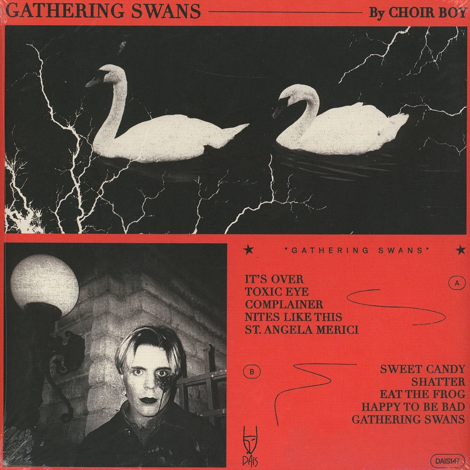 Choir Boy - Gathering Swans Black Vinyl Edition