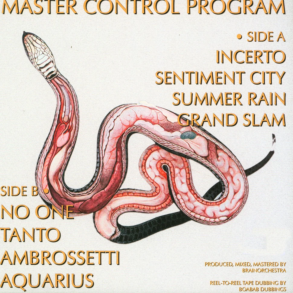 Brainorchestra - Master Control Program