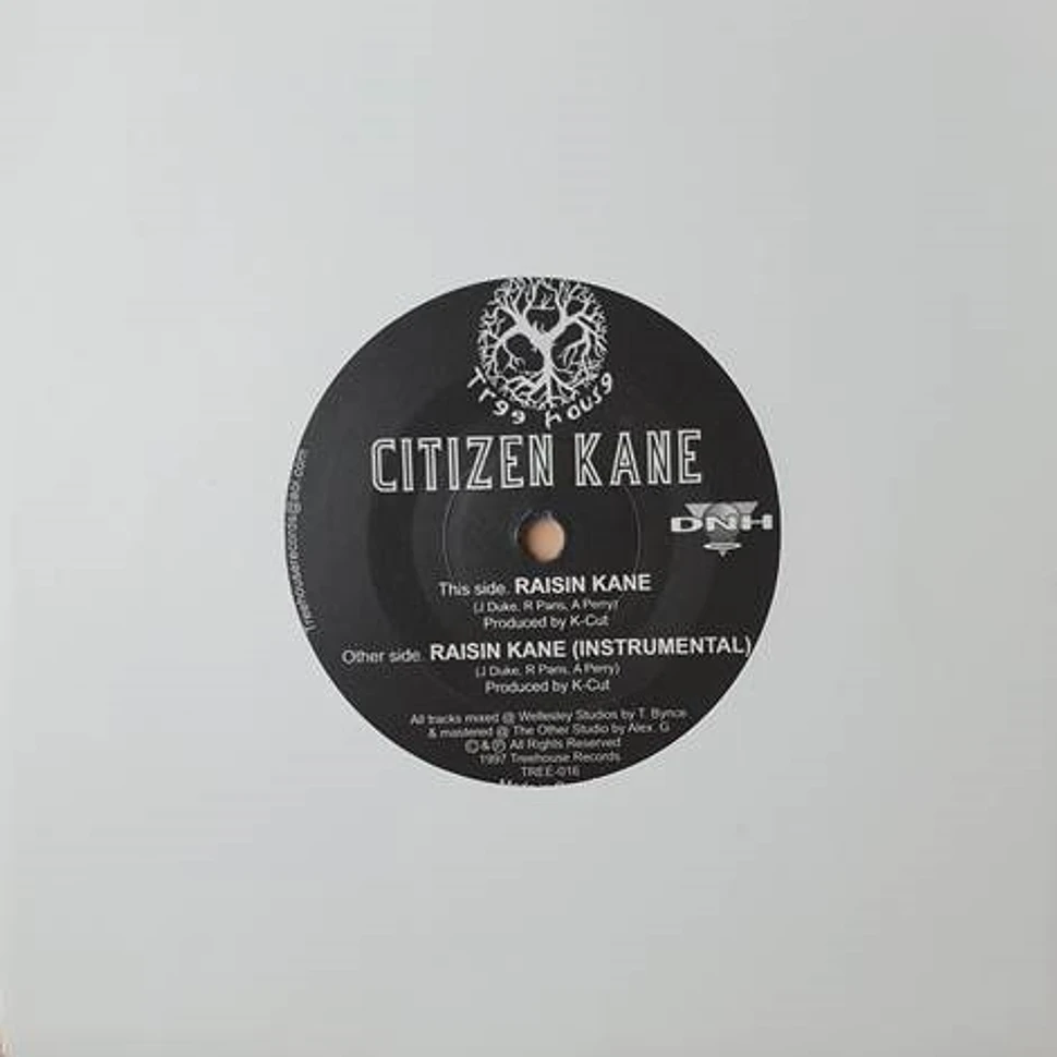 Citizen Kane - Raisin Kane