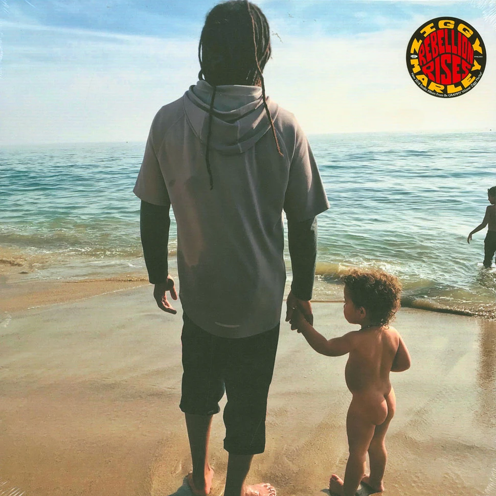 Ziggy Marley - Rebellion Rises