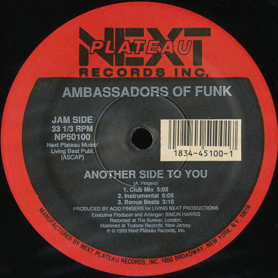 Ambassadors Of Funk - Another Side To You