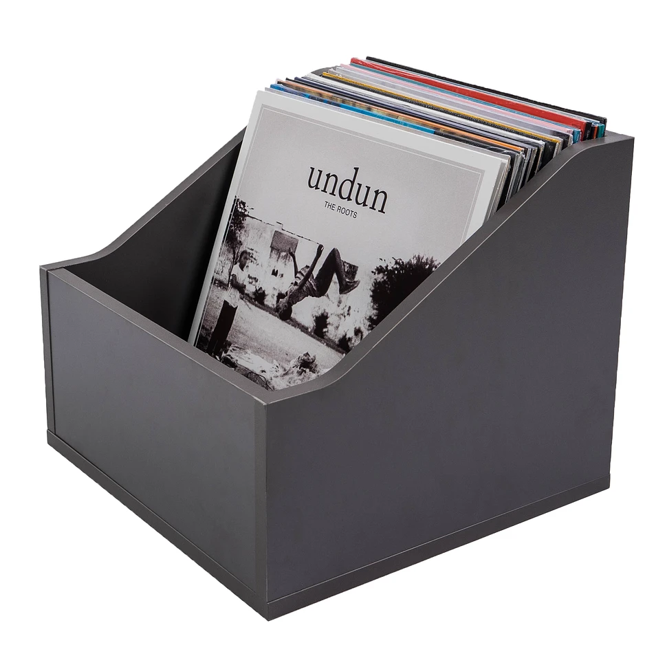 Record Box - Vinyl Record Storage - 12" Schallplatten Aufbewahrung (100)