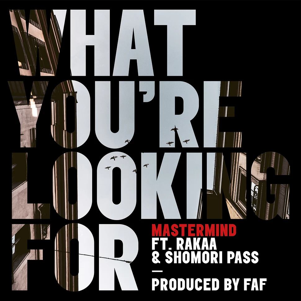 Mastermind Feat. Rakaa & Shomori Pass - What You Are Looking For