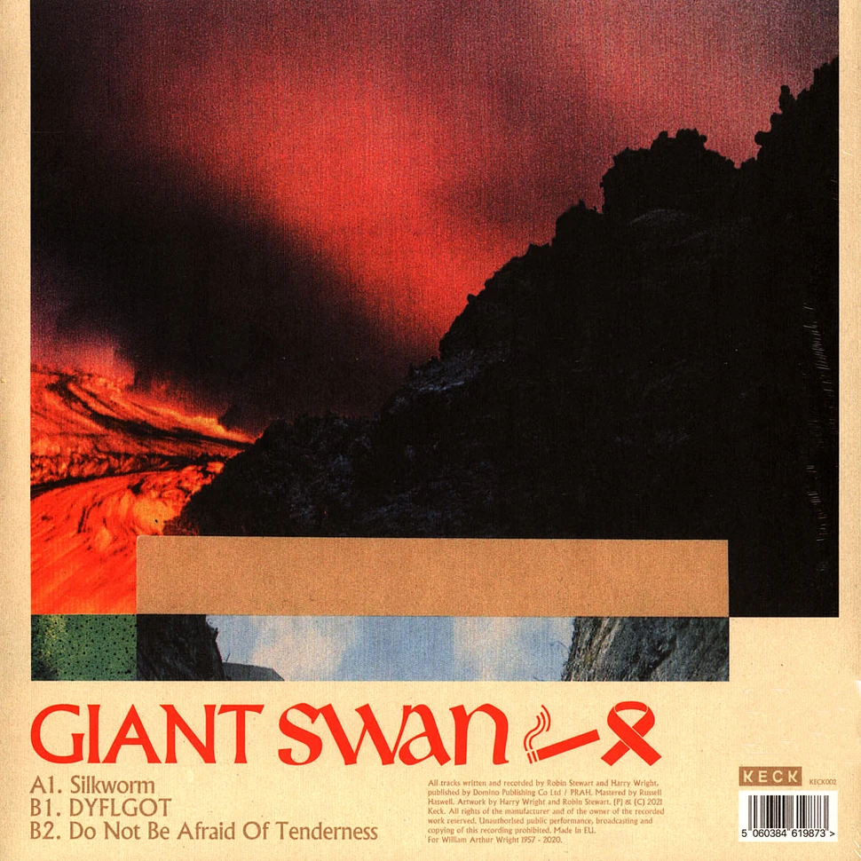 Giant Swan - Do Not Be Afraid Of Tenderness