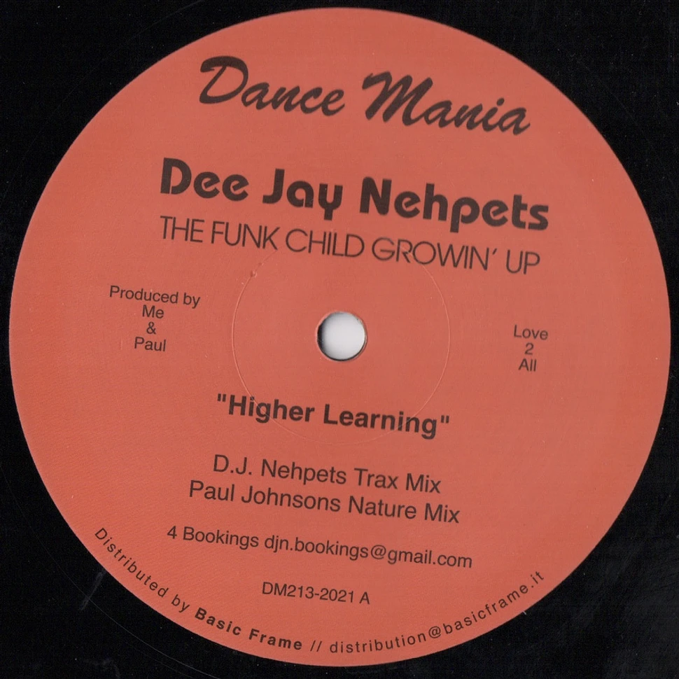 Dee Jay Nehpets - The Funk Child Growin' Up