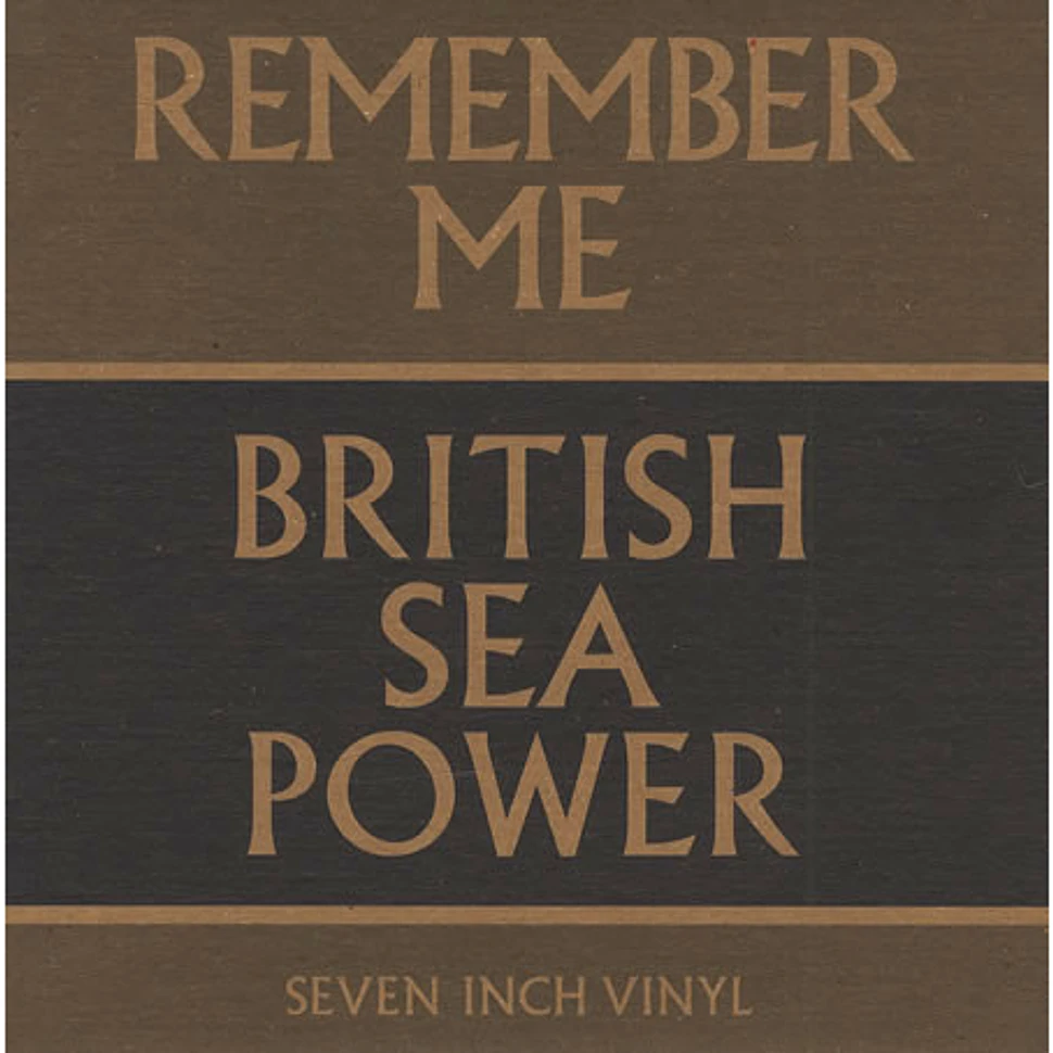 British Sea Power - Remember Me