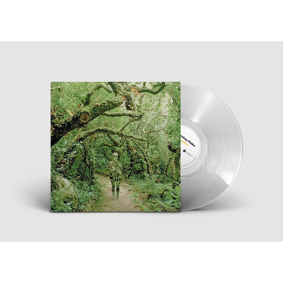 Natureboy Flako - Eclosure Extended Clear Vinyl Edition