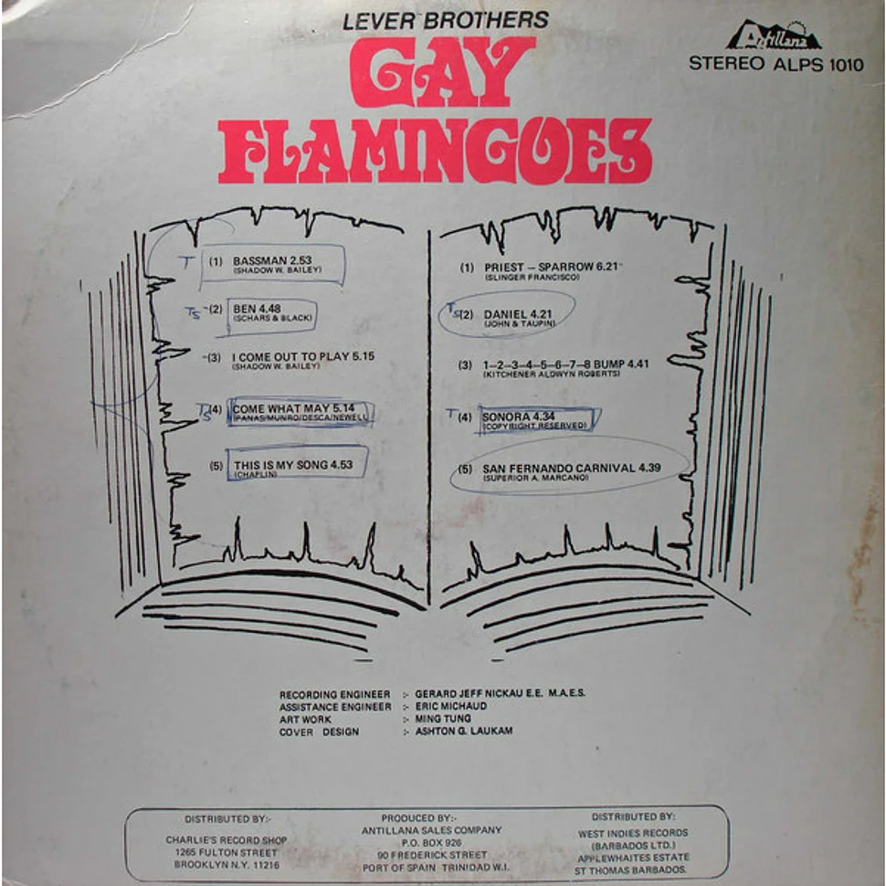 Gay Flamingoes - Let's Hear It For Today