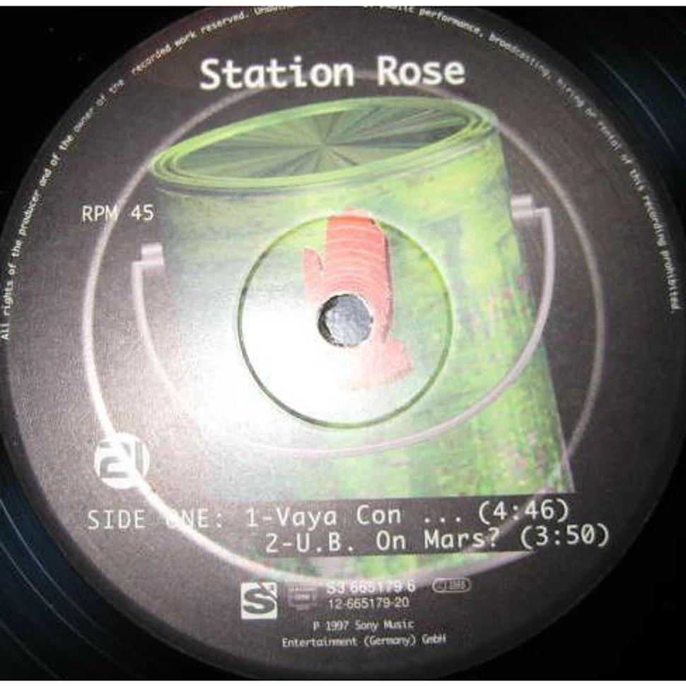 Station Rose - Tree