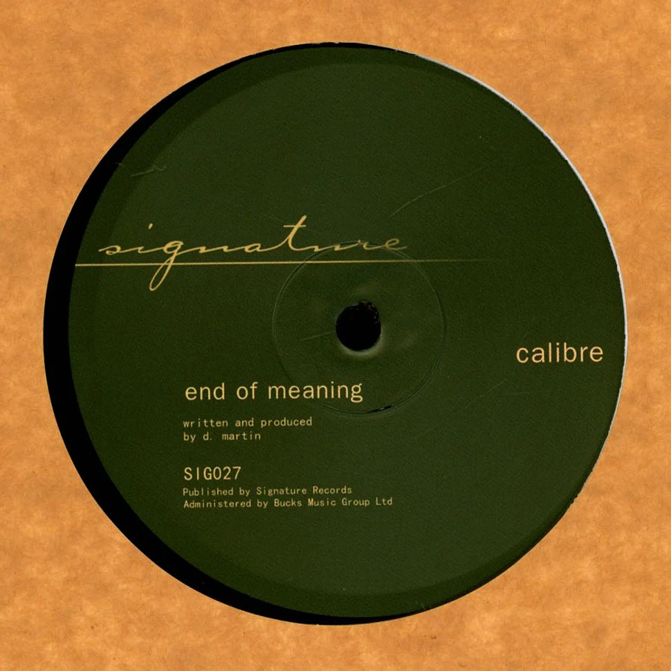 Calibre - Falls To You VIP / End Of Meaning