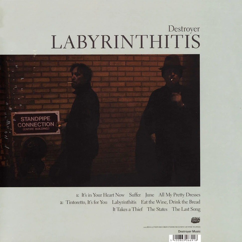 Destroyer - Labyrinthitis Black Vinyl Edition