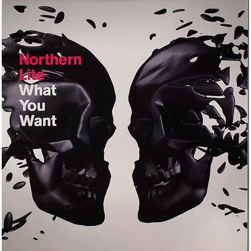 Northern Lite - What You Want