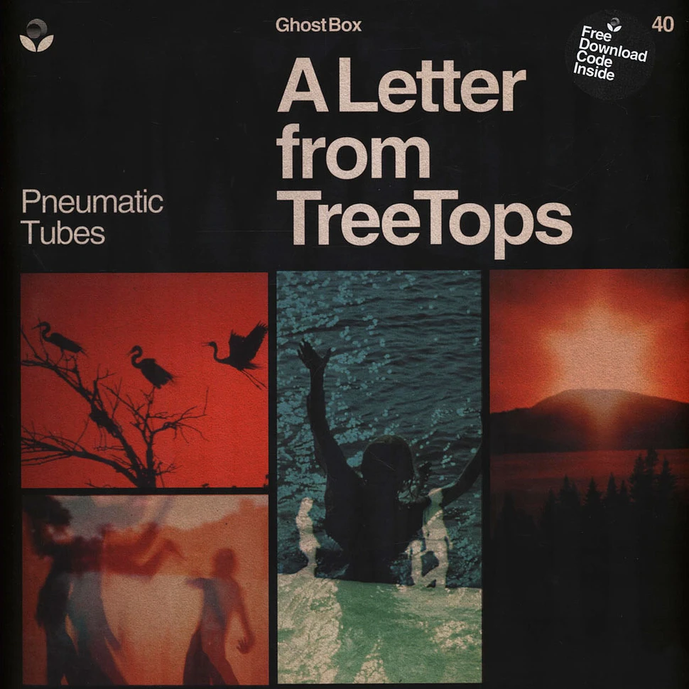 Pneumatic Tubes - A Letter From Treetops - Vinyl LP - 2022 - UK.