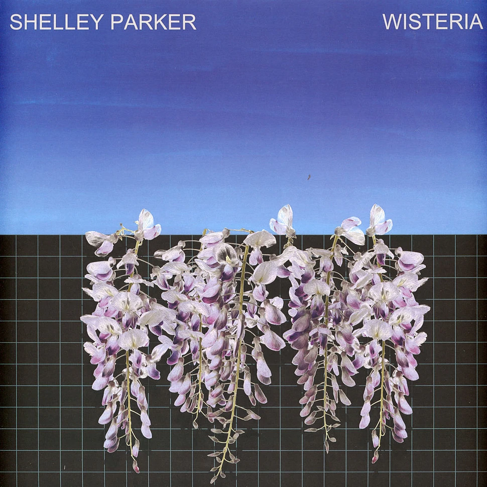 Shelley Parker - Wisteria