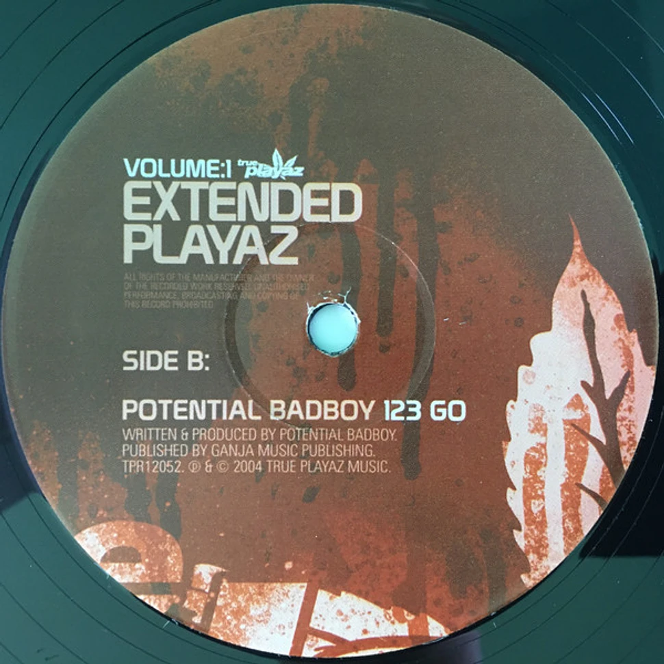 V.A. - Extended Playaz Volume:1