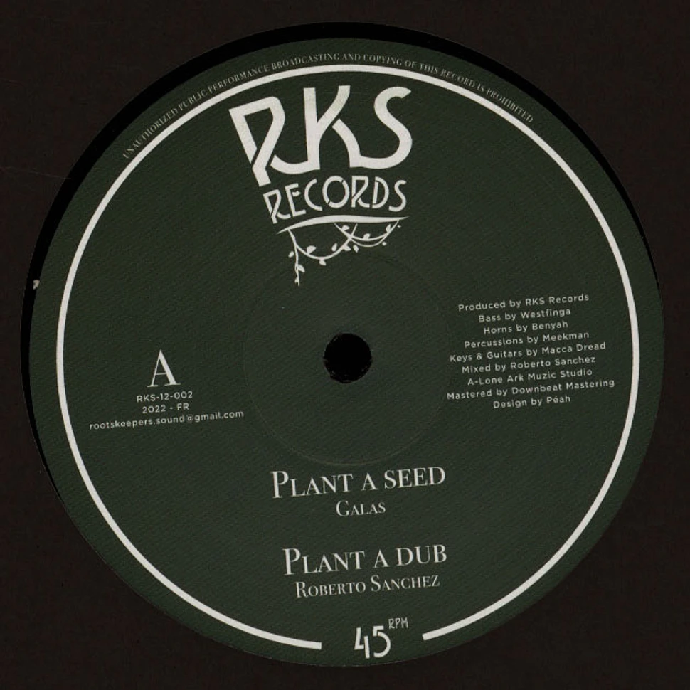 Galas, Roberto Sanchez / Benyah, Roberto Sanchez - Plant A Seed, Dub / Blowing Seed, Dub