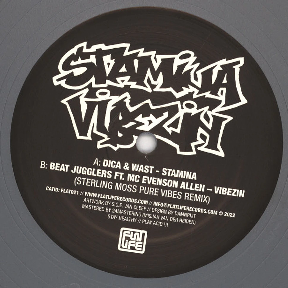 Dica & Wast / Beat Jugglers - Stamina / Vibezin Silver Vinyl Edition