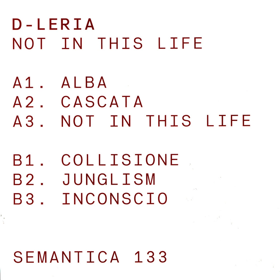 D-Leria - Not In This Life