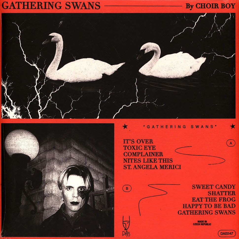 Choir Boy - Gathering Swans Grey Marble Vinyl Edition