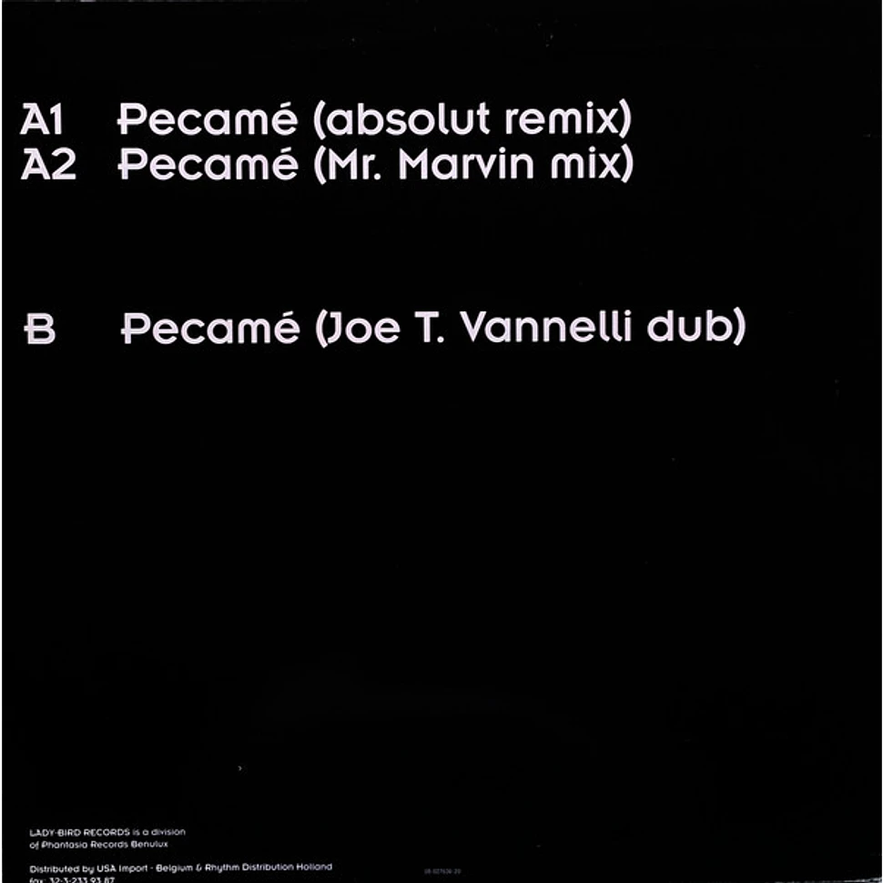 Joe T. Vannelli - Pecamé (The Remixes)