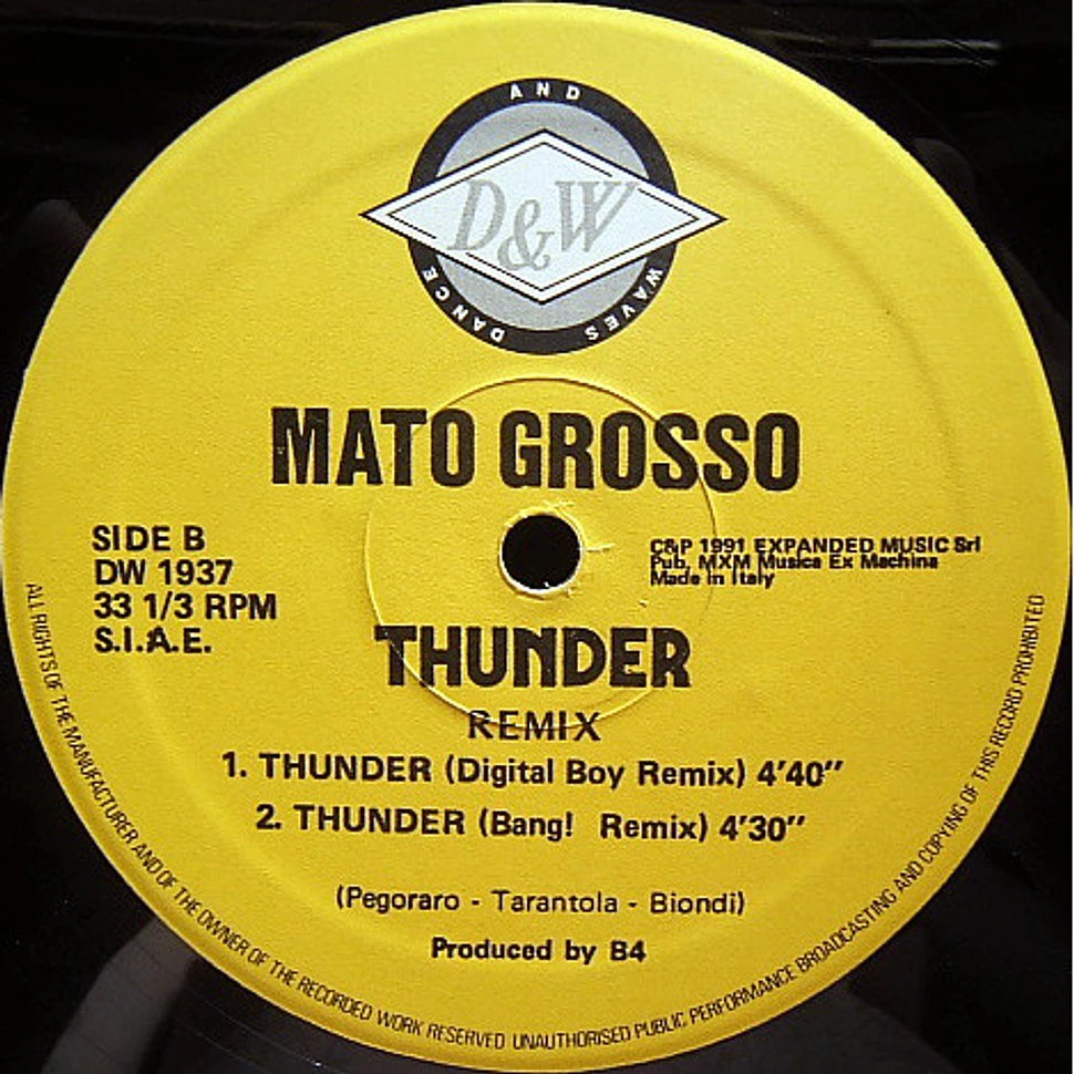 Mato Grosso - Thunder (Remix)