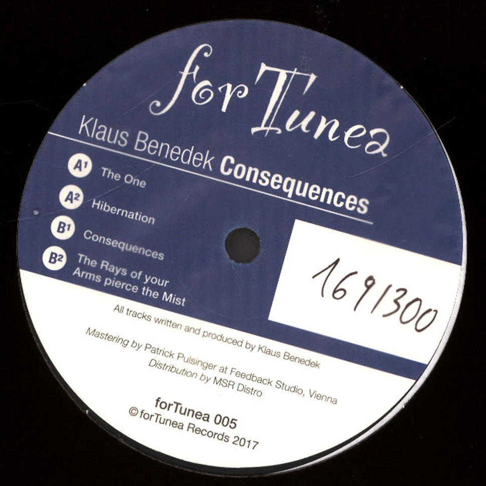 Klaus Benedek - Consequences