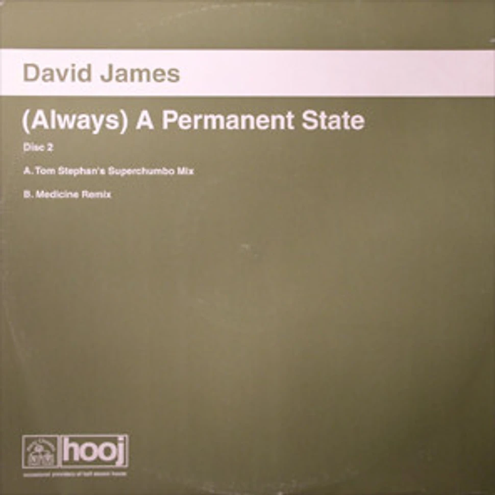 David James - (Always) A Permanent State