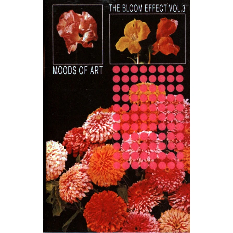 Skip Sanders - Moods Of Art Vol.3 - Bloom Effect