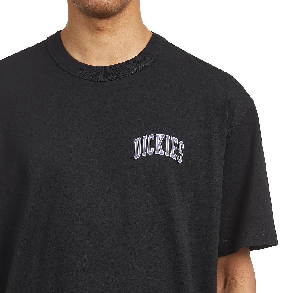 Dickies - Aitkin Chest Tee SS